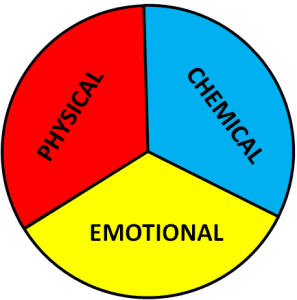 Physical Chemical Emotional_0