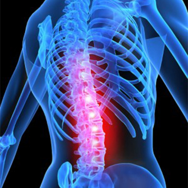 Nervous System, Spine, Cloverfield Chiropractic